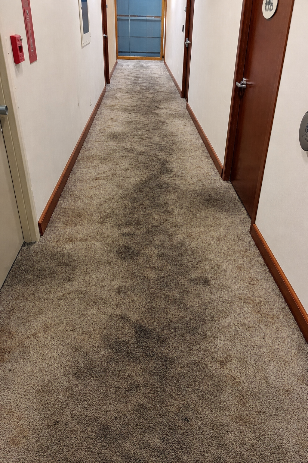 Commercial Carpet Installation - Before